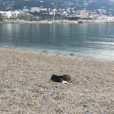 דירה Maroelvi מנטון