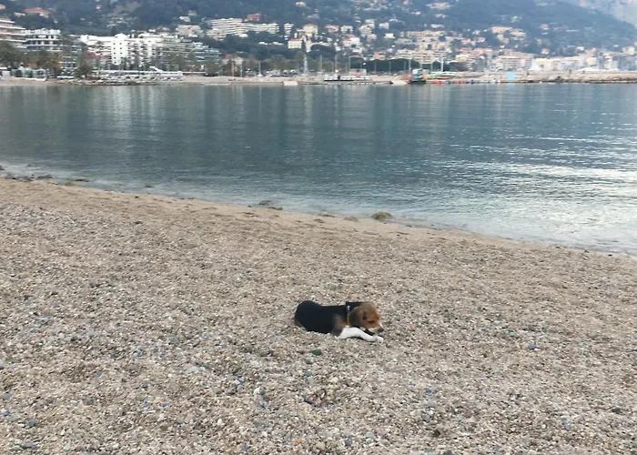 Lejlighed Maroelvi Menton